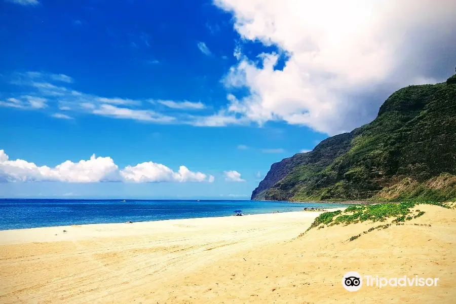 Polihale State Park