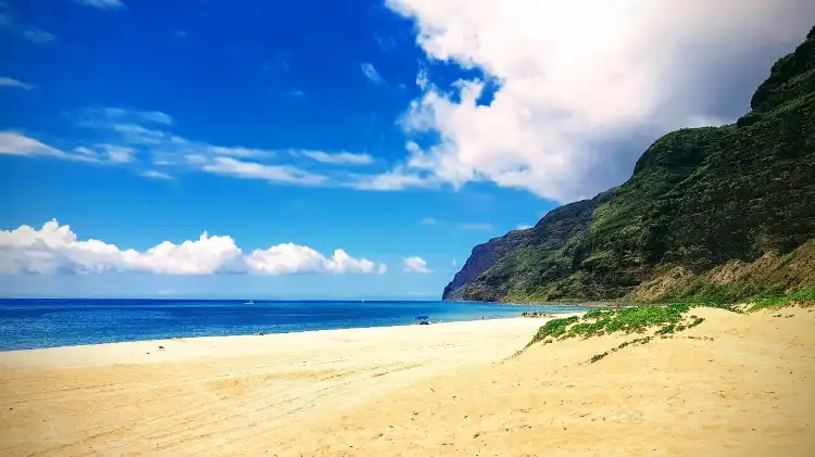 Hotels in Waimea