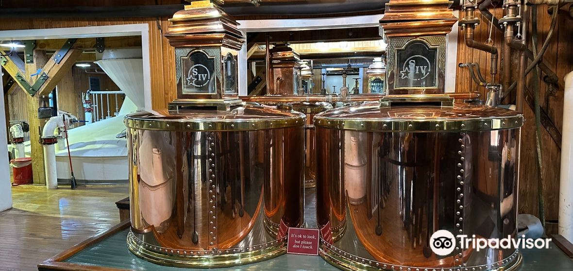 Things to Do in Loretto in 2024 Top Attractions, Local Food, Hotels