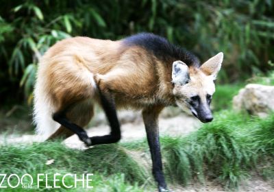 拉弗萊什動物園