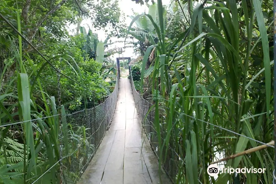 Parque Natural Municipal Nascentes de Paranapiacaba