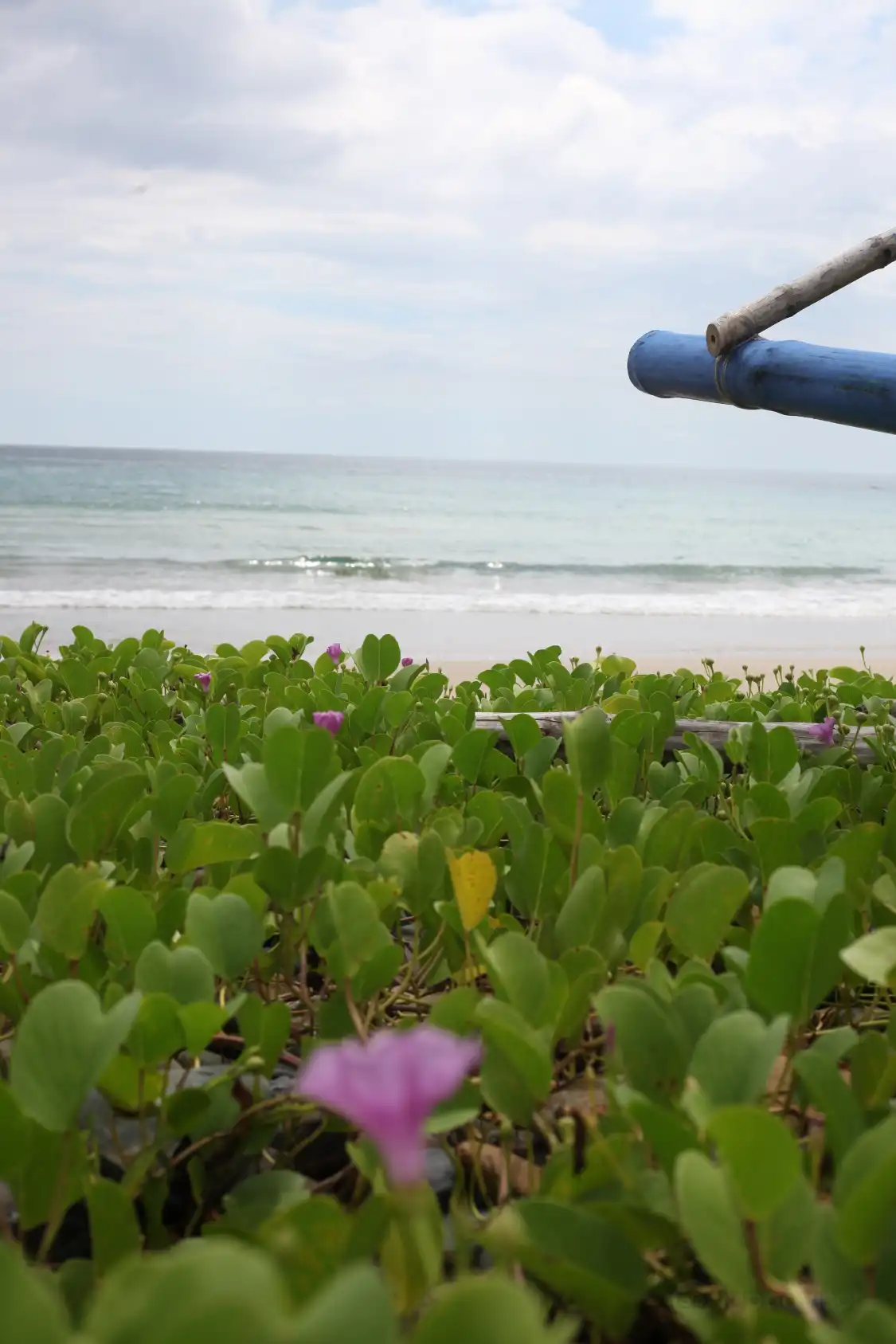 Hotels near Tagkawayan Beach