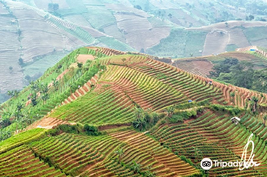 Cape Town to Majalengka Regency Flights