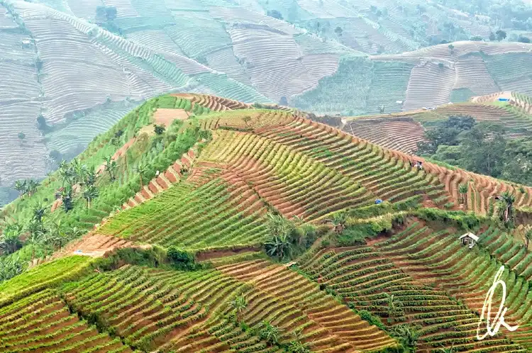 Kabupaten Majalengka