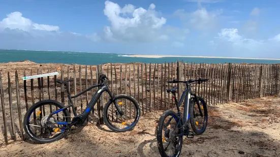 SARL AU VÉLO POUR TOUS - 40600