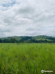 Abokouamekro Game Reserve