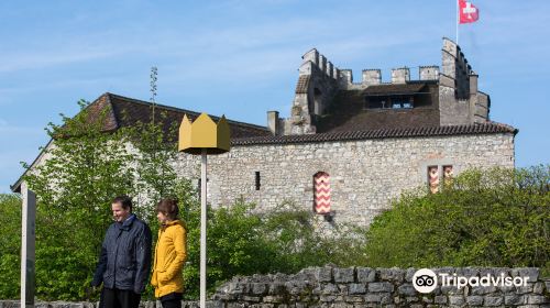 Habsburg Castle