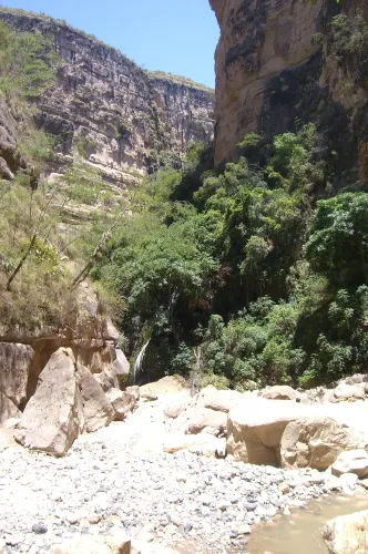 Charcas