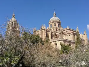 Ciudad Vieja de Salamanca