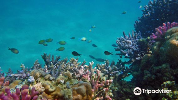 Sanganeb National Park