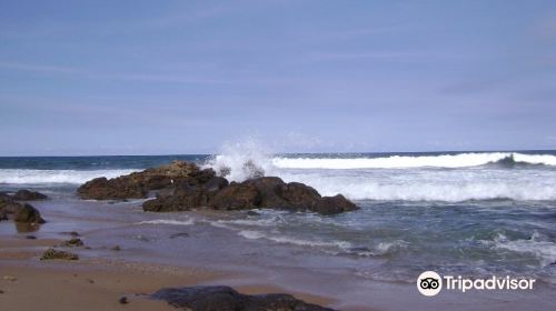 Jardim de Ala Beach