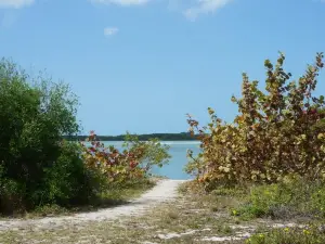 Cedar Point Environmental Park