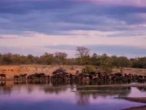 Tshukudu Game Lodge