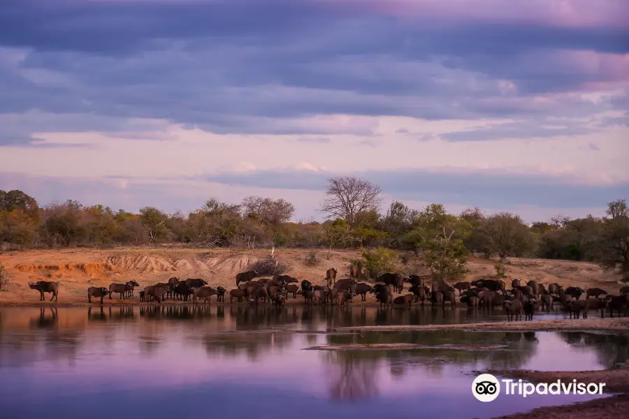 Tshukudu Game Lodge