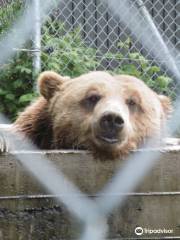 Zoo de Falardeau