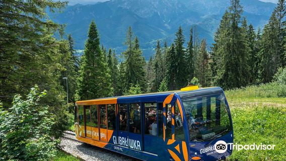 Kolej linowo-terenowa Gubałówka