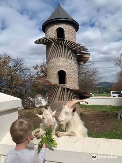 Fairview Wine and Cheese
