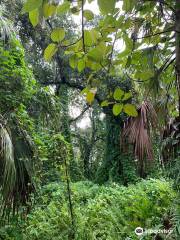 Kendall Indian Hammocks Park