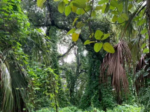 켄들 인디언 해먹스 공원