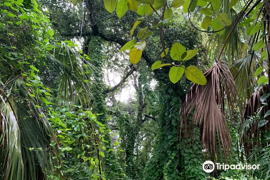 Kendall Indian Hammocks Park