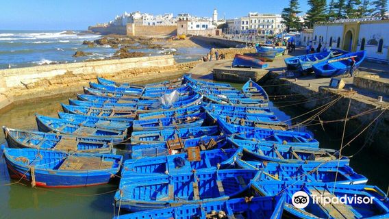 Essaouira Fishing Port