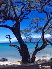 Honokowai Beach Park