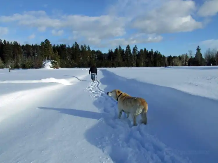 Hotels in Trout Lake