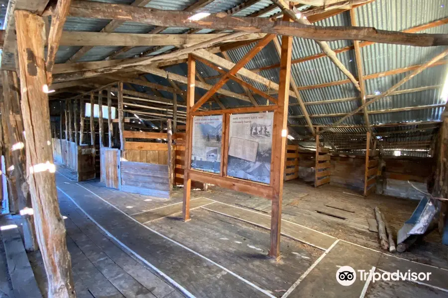 Quailburn Woolshed