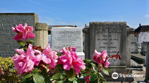 Liberal Jewish Cemetery, Willesden