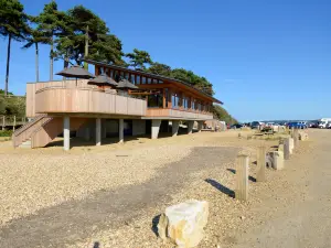 Lepe Country Park