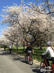 DC Cycling Concierge