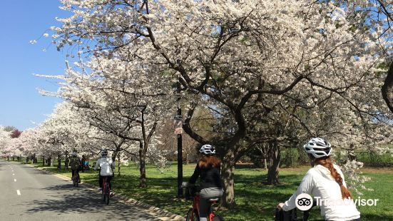 DC Cycling Concierge