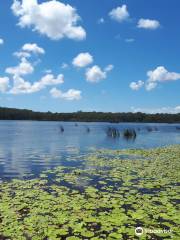 Ewen Maddock Dam