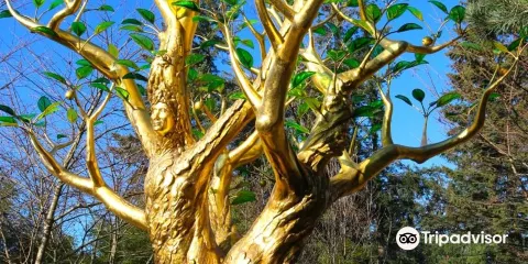 International Friendship Garden