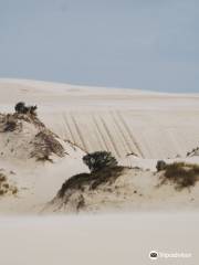 Yeagarup Dunes