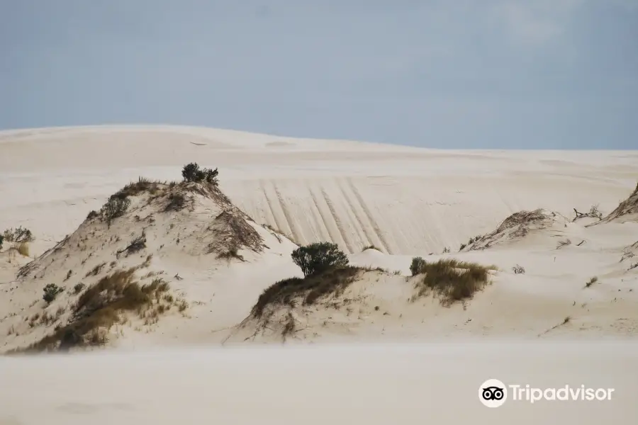 Yeagarup Dunes