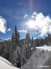 Excursii Trasee Montane Off-Road Bucegi