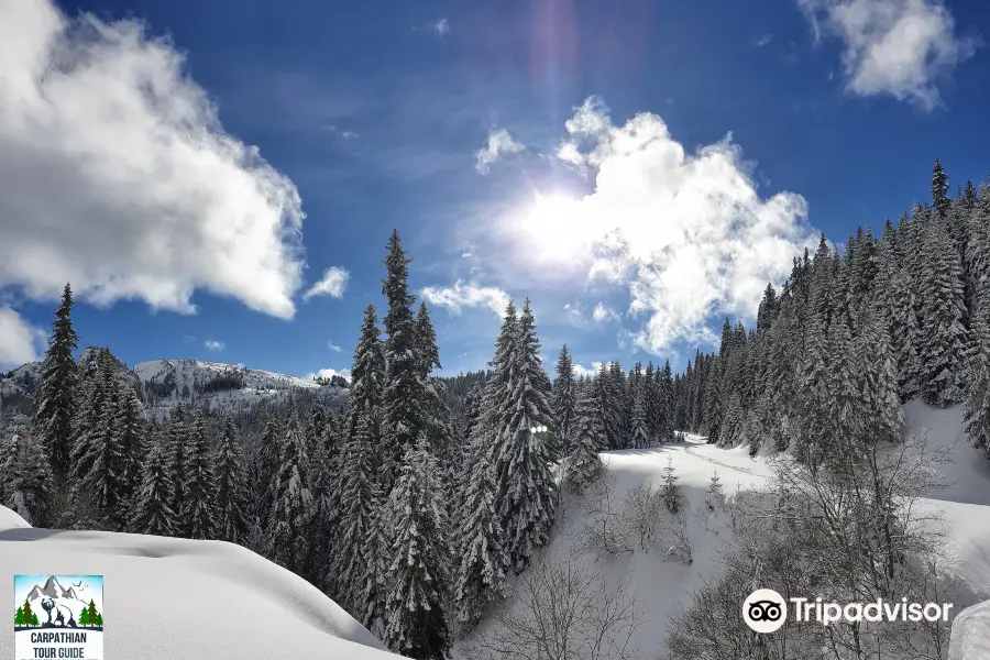 Excursii Trasee Montane Off-Road Bucegi