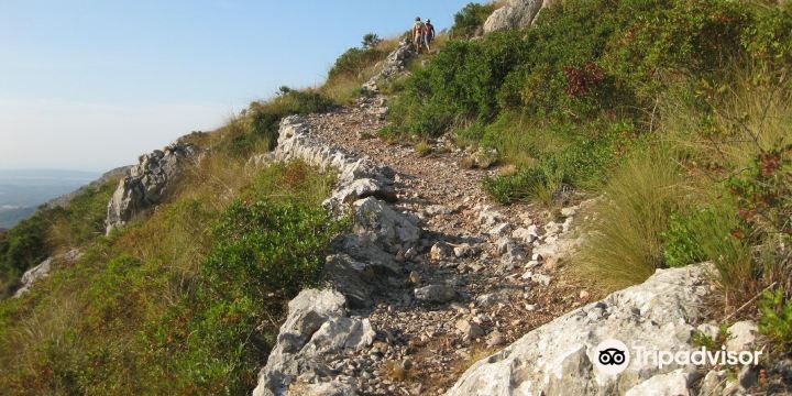 CR7 Es Galatzo - S'Esclop Trail