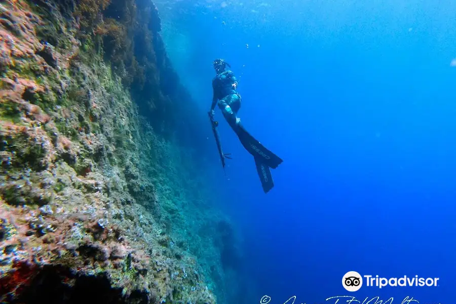 Apnea Total Malta - Freediving School