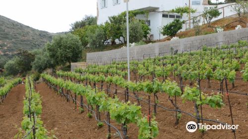 Hatzidakis Winery