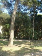 Parco Comunale Cesare Braico