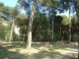 Parco Comunale Cesare Braico