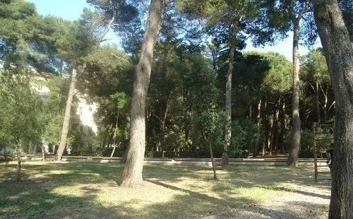 コムナーレ・チェザーレ・ブライコ公園