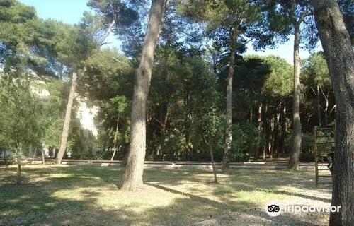 Parco Comunale Cesare Braico