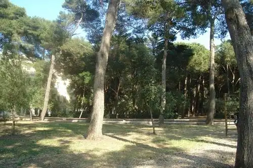 Hotels near Parco Comunale Cesare Braico