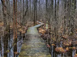 Great Swamp Conservancy
