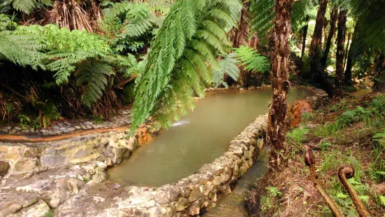 Centro de Interpretação Ambiental da Caldeira Velha