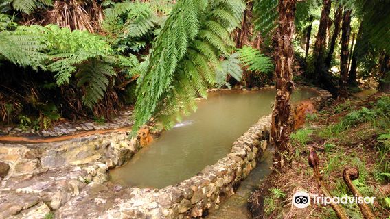 Centro de Interpretação Ambiental da Caldeira Velha