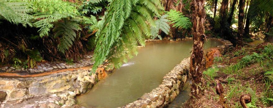 Centro de Interpretação Ambiental da Caldeira Velha